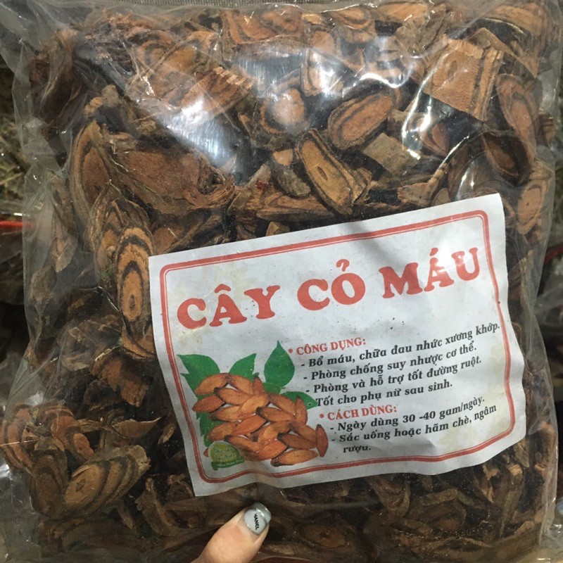 cây cỏ máu