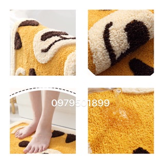 Combo 2 Thảm chùi chân cao cấp