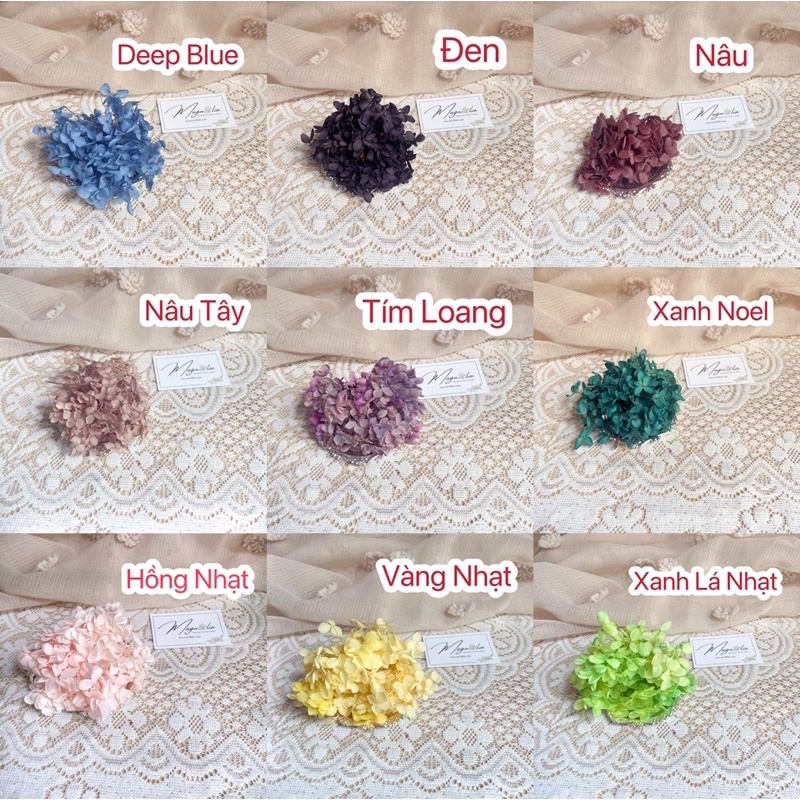 Cẩm tú cầu khô cân 5gr làm nail, trang trí móng, làm đồ handmade, resin epoxy, cắm bánh kem
