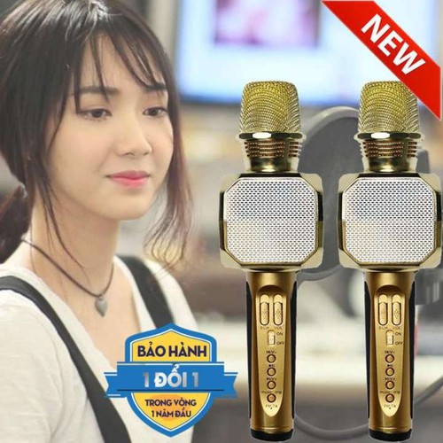 Micro Karaoke Kèm Loa Bluetooth Cao Cấp, Micro Bluetooth 3 IN 1 SD-10 - Hiệu Chỉnh Được Bass Treble Ấn Tượng