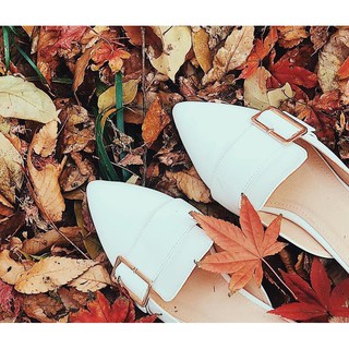 Giày hở gót Mules 2cm