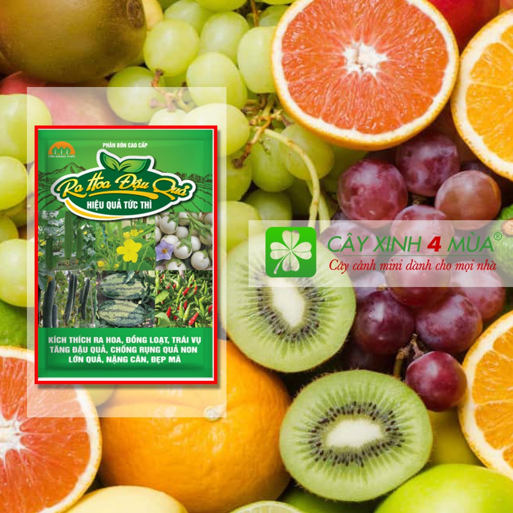 Ra hoa đậu quả - Không lo rũ lá