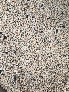Đậu trắng 1kg ( đậu mắt đen, đậu mắt cua)