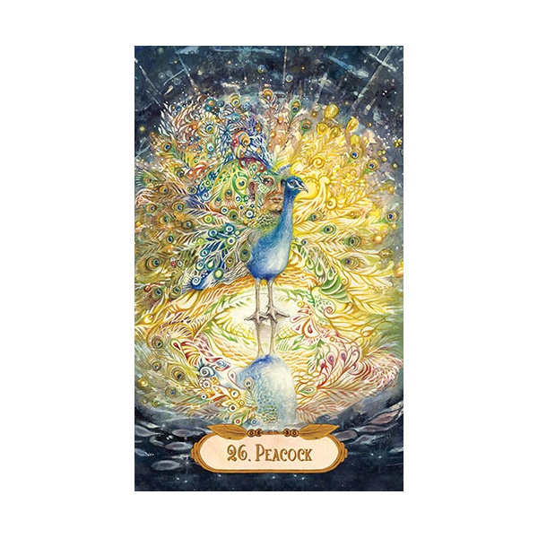 Bộ Bài Winged Enchantment Oracle (Mystic House Tarot Shop) - Bài Gốc Authentic Chính Hãng 100%