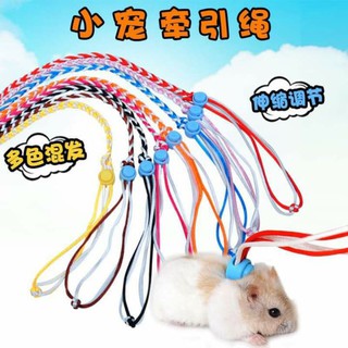 Dây dắt Hamster, thỏ, bọ