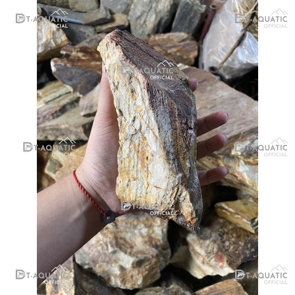 Đá Trầm Tích Hoá Thạch (1KG) Setup Bể Thuỷ Sinh,Tiểu Cảnh Bán Cạn, Trang Trí Bể Cá Cảnh