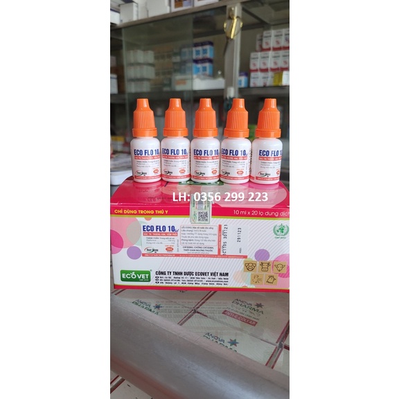 Eco Flo 10 sol - ĐT Thương hàn - Bệnh phổi - Chỉ dùng cho Thú Y