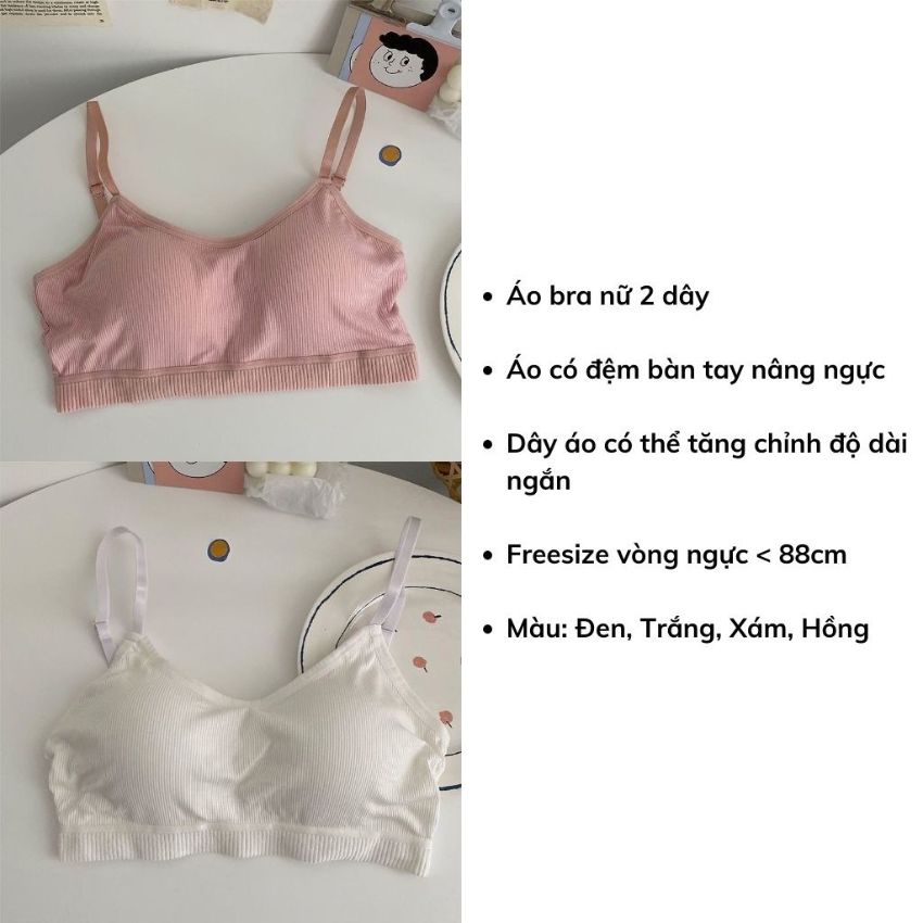 Áo bra nữ Cotton, áo ngực gân tăm kèm mút mỏng nâng đỡ định hình ngực - B727