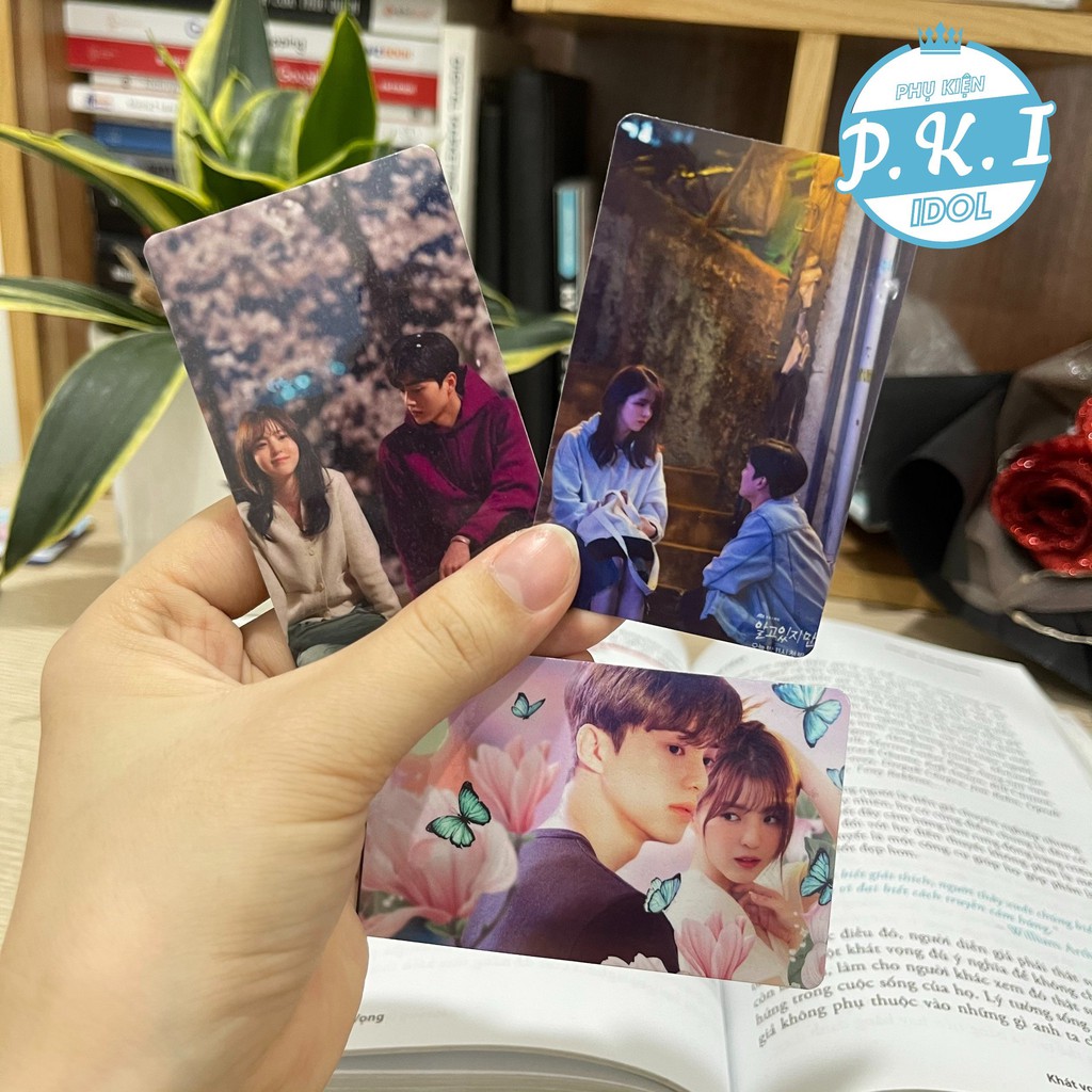 Bộ Card Cứng In Hình Diễn Viên Nam Nữ Chính Trong Phim Nevertheless Bo Góc Sang Trọng – Quà Tặng KPOP