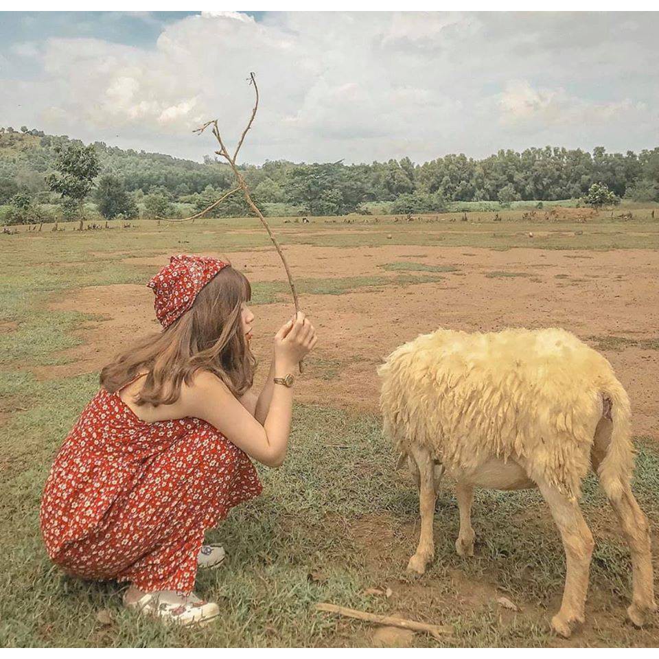 Đầm 2 Dây Nữ Hoa Nhí Vintage