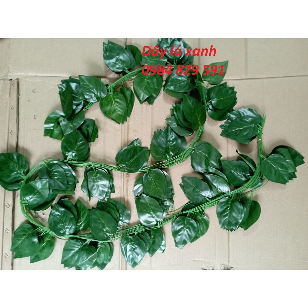Dây leo giả: lá nho, trầu bà, thường xuân, rau má, dưa hấu, dài 2.4M