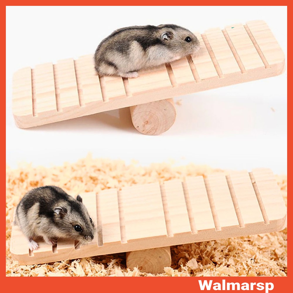 Tấm Ván Trượt Bằng Gỗ Chống Trượt Cho Chuột Hamster