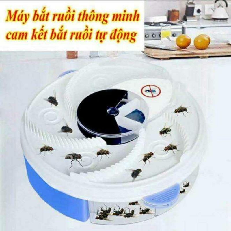 Máy bắt ruồi thông minh