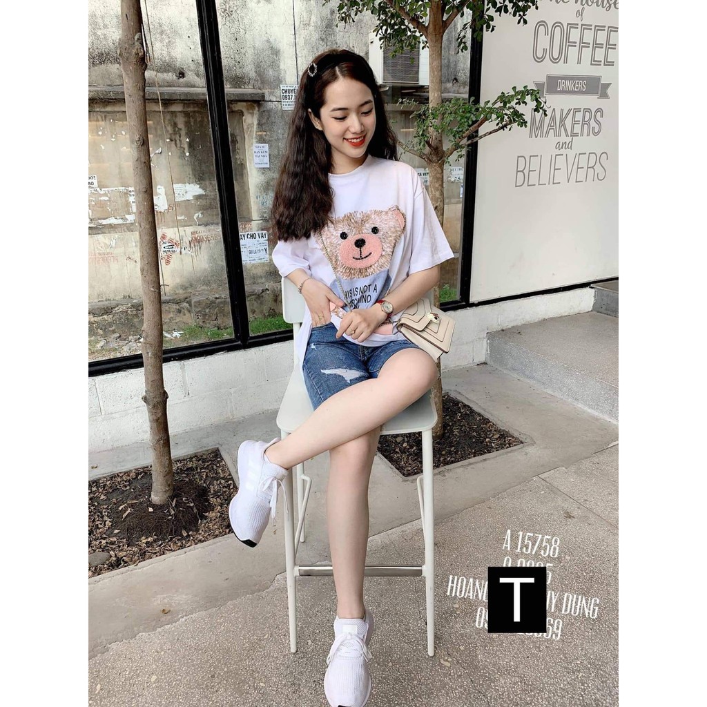 Áo phông gấu Mo chi DTR0319