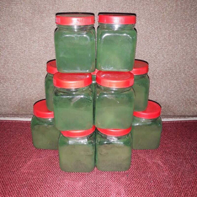 Tảo bột Spirulia , thức ăn cá , tép cảnh , Artemia