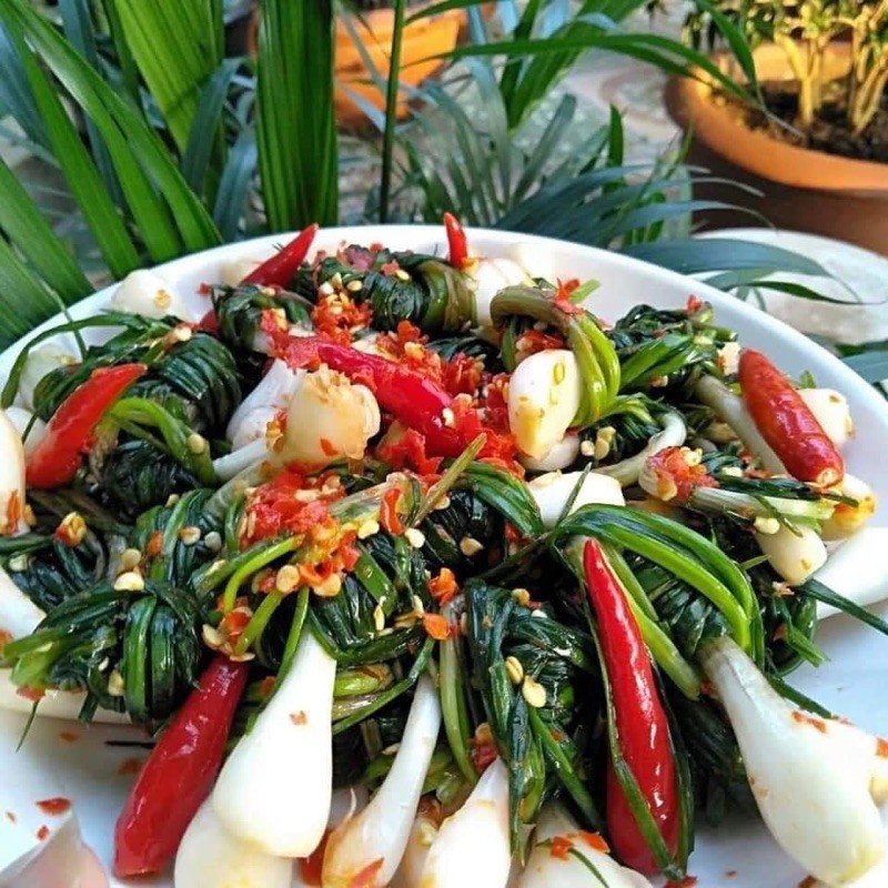 Kiệu lá cuốn ngâm mắm ớt -Kiệu cuốn đặc sản ở Vĩnh Linh - Quảng Trị
