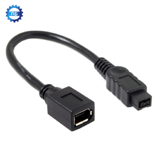 Dây Cáp 10cm 1394 6pin Female Sang 1394b 9pin Male Firewire 400-800