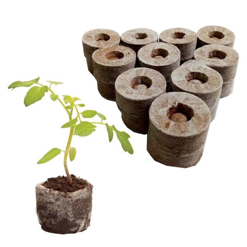 Viên Nén Nảy Mầm/ Viên Nén Xơ Dừa tròn cỡ 3x3x1,5cm