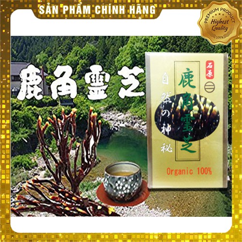 Nấm Linh Chi Sừng Hươu Trồng Trong Môi Trường ORGANIC 100% Nhật Bản