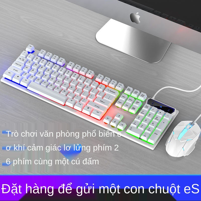 Bộ bàn phím và chuột Nobexing SK500 Gaming điều khiển phát sáng Cảm giác chơi game Máy tính để xách tay USB | BigBuy360 - bigbuy360.vn