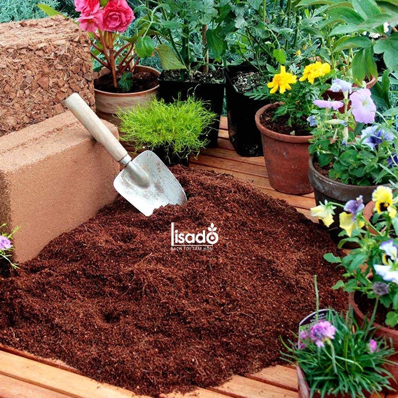 Mụn xơ dừa ép bánh 5kg tương đương bao nặng 25kg    đã qua xử lý, tiêu chuẩn xuất khẩu