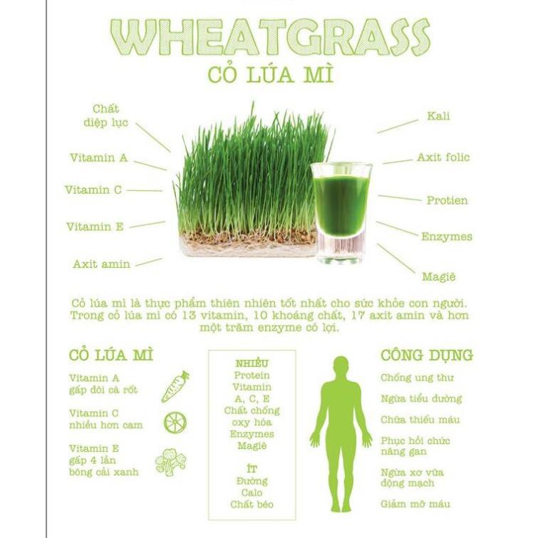 Bột cỏ lúa mì sấy lạnh nguyên chất Dalahouse (50g) giảm cân, ngăn ngừa bệnh tiểu đường [Helifood]