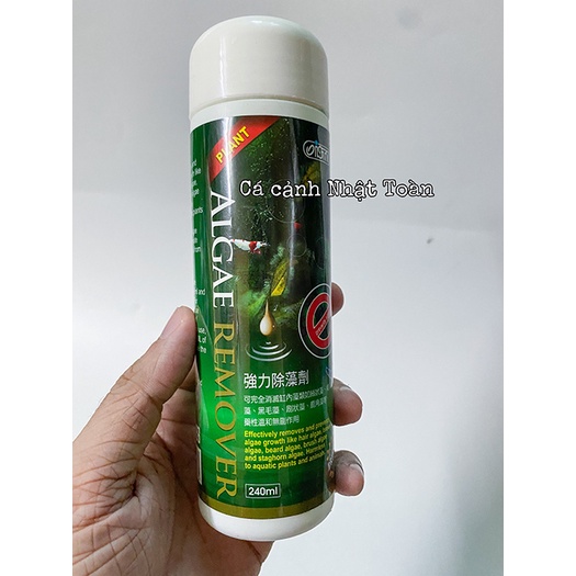 ALGAE REMOVER ISTA ĐÀI LOAN 240ML DIỆT RÊU TRONG HỒ CÁ THỦY SINH