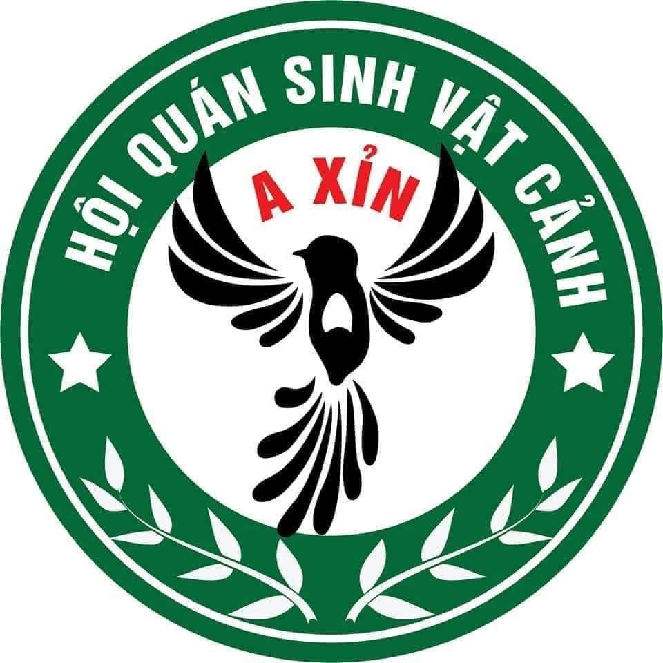 Cà phê trộn Gia Lai Hội quán sinh vật cảnh A Xỉn Pleiku (500Gr/Túi)