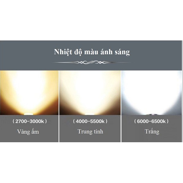 Combo bộ sản phẩm 3 đèn rọi ray 20W + 1 thanh ray 1 mét