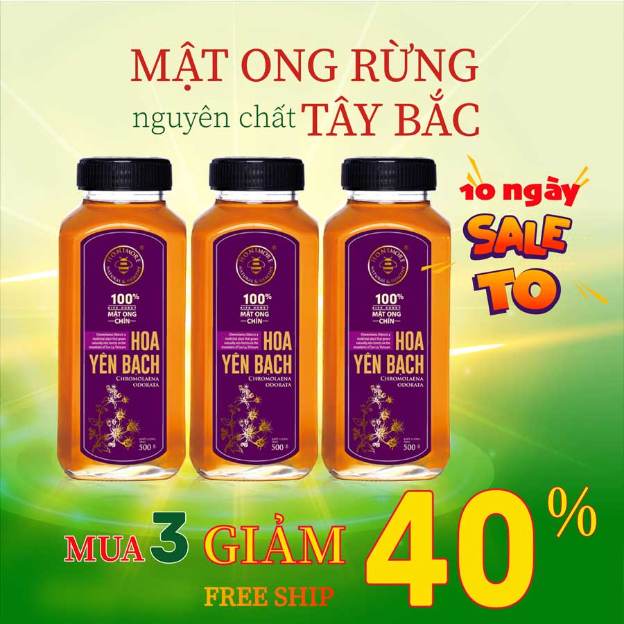 Combo 3 chai mật ong nguyên chất Hoa Yên Bạch 500g – 100% mật ong rừng, 100% mật ong chín