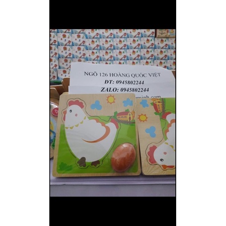 bộ xếp con gà đẻ trứng