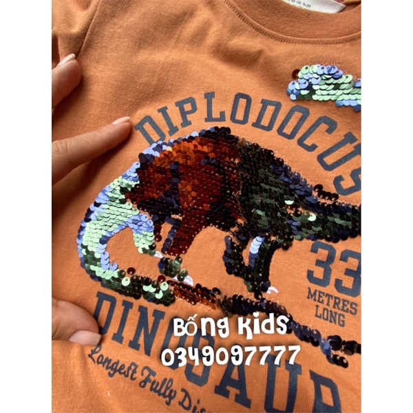 Áo Phông Bé Trai Khủg Long Sequin Nâu Cam HaM