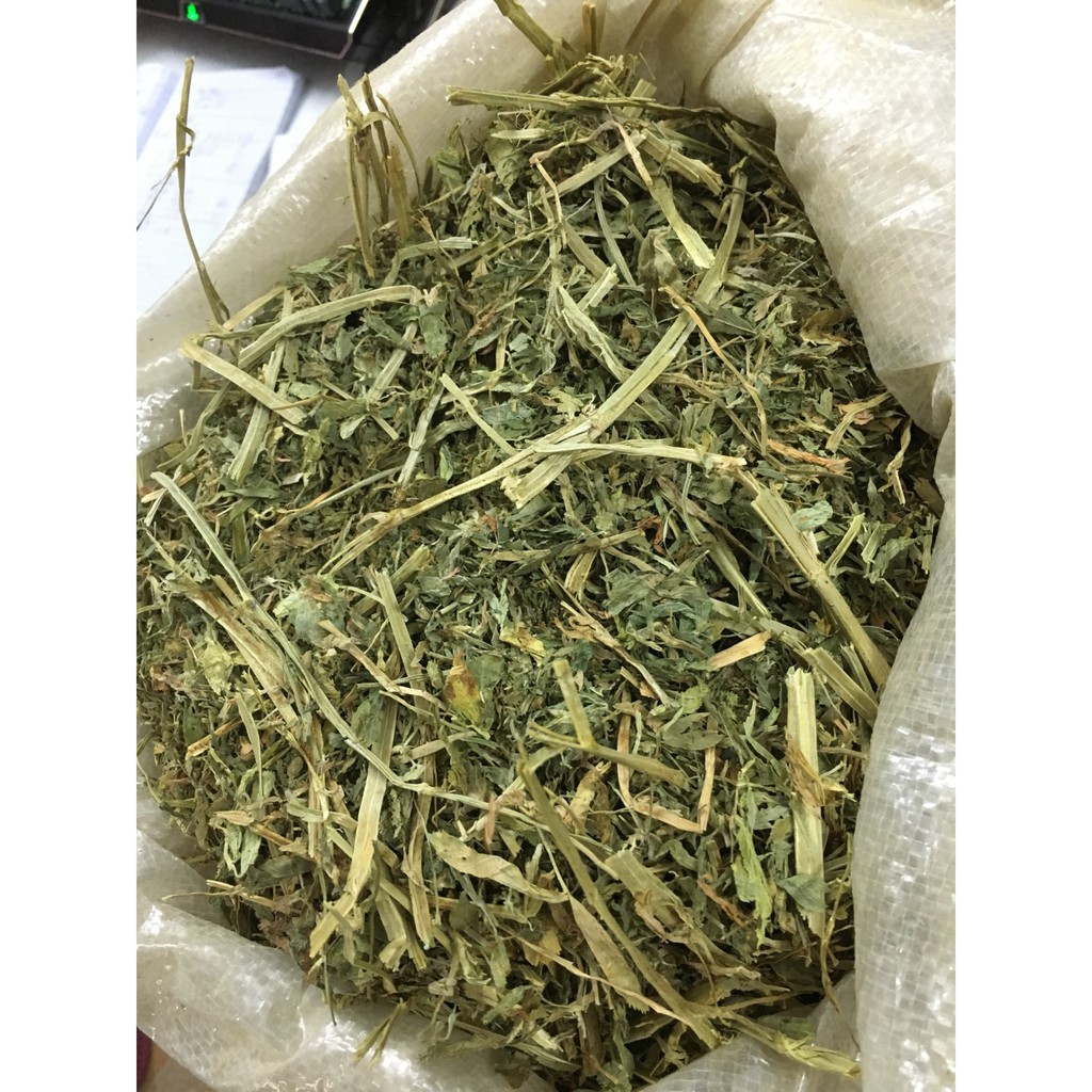 1kg cỏ alfalfa khô giàu dinh dưỡng siêu ngon cho Thỏ- Bọ Ú - guinea pig