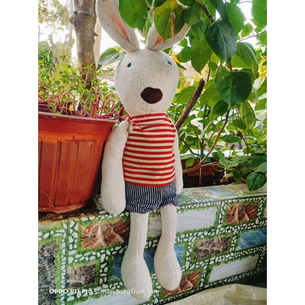 Gấu bông thỏ quý tộc size 60cm