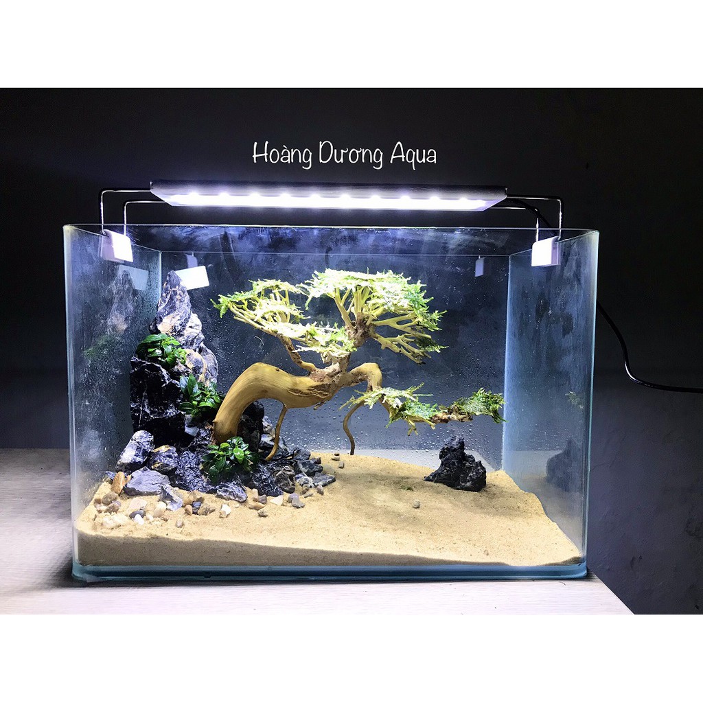 ĐÈN LED THỦY SINH 3 CHẾ ĐỘ LÊN MÀU CHO CÂY, CÁ - ĐÈN KẸP THÀNH BỂ