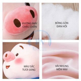 Heo Bông Tiktok, Gối Ôm Đáng Yêu - Hàng Cao Cấp - Full Size- Được Xem Hàng Trước