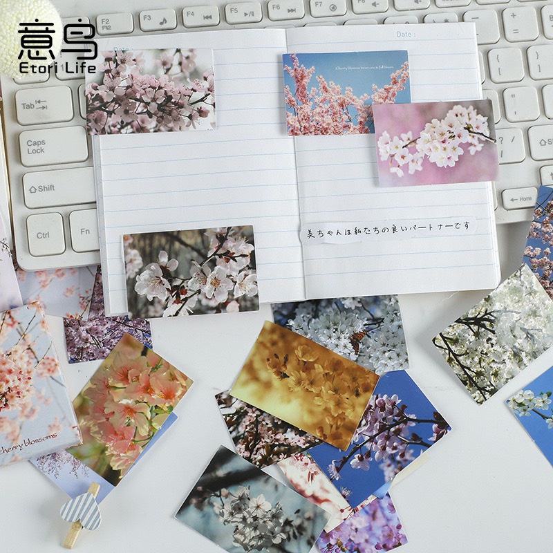 Bộ postcard mini hình hoa đào sang trọng (30 Hình - 4.4 x 6.4cm)