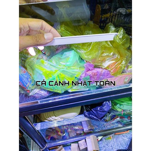 ĐÈN LED KẸP 2 BÊN BỂ CÁ 3 CHẾ ĐỘ MÀU CEBO COCO