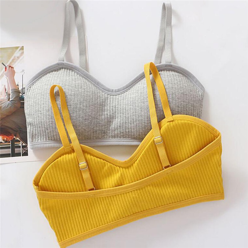 Áo Lót Hai Dây Có Mút Đệm Màu Trơn Kiểu Dáng Quyến Rũ