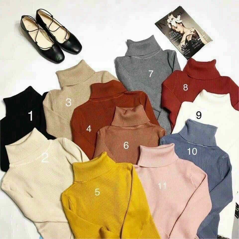 Áo Len Tăm Cổ Lọ Dài Tay Nhiều Màu Bassic