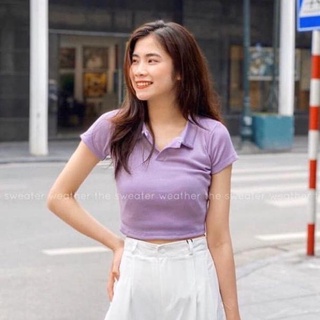 ... ÁO THUN CỔ POLO CROPTOP FORM BODY ...