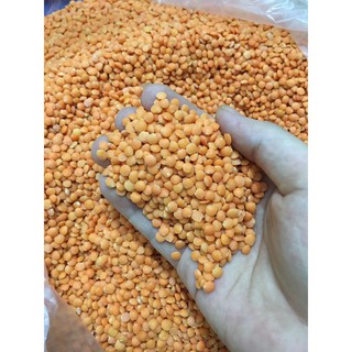 500G ĐẬU LĂNG ĐỎ ĐÃ TÁCH VỎ (nhập khẩu Argentina)
