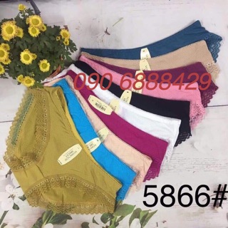 Combo 10 quần lót thông hơi viền ren