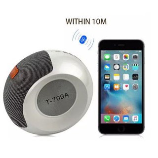 LOA BLUETOOTH kiểu vỏ ốc độc lạ T709A