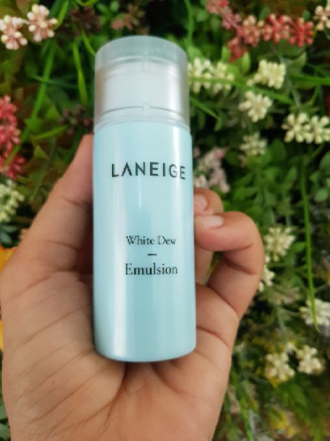 ] NƯỚC HOA HỒNG/SỮA DƯỠNG TRẮNG 50ML LANEIGE