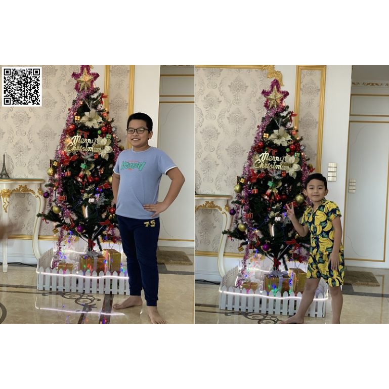 Cây thông Noel lá xanh giá rẻ trang trí Giáng sinh
