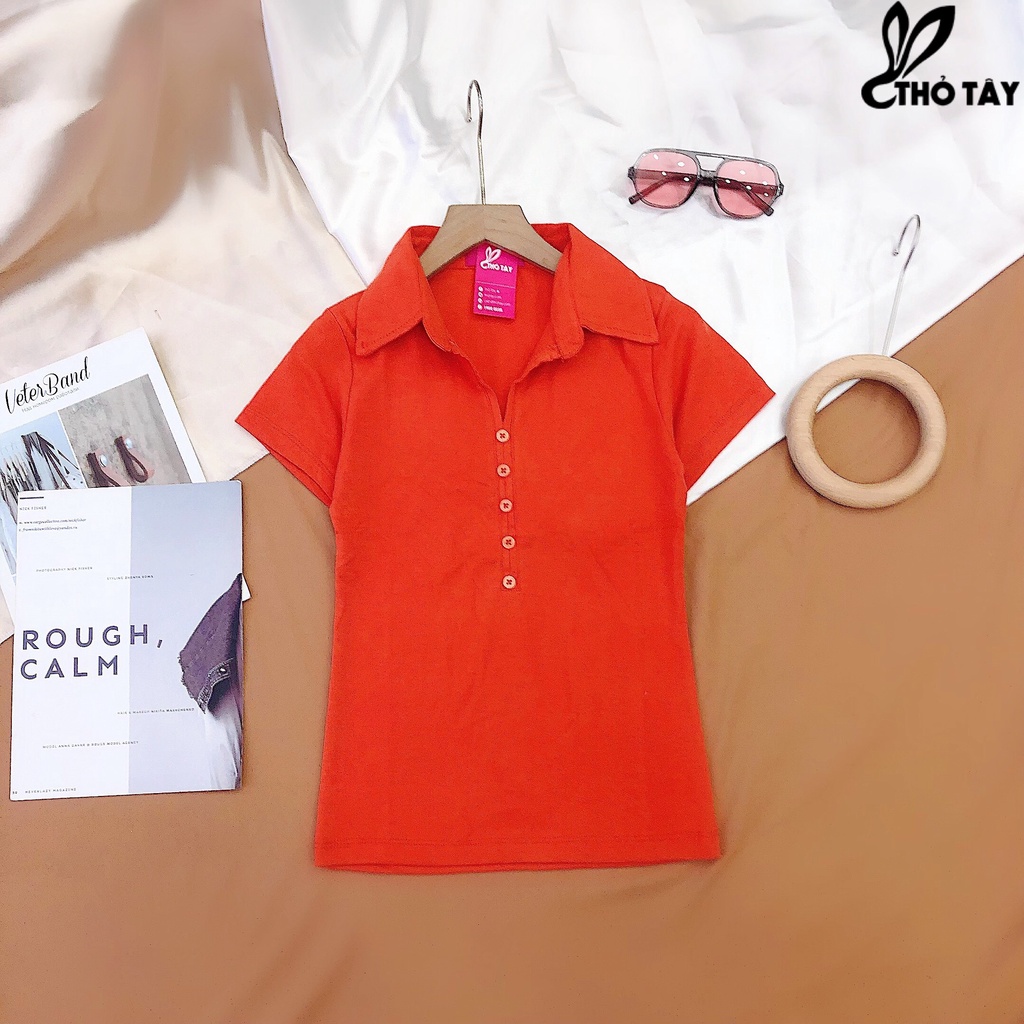 Áo thun nữ trơn cổ bẻ nhiều màu THỎ TÂY AT220C70 | BigBuy360 - bigbuy360.vn