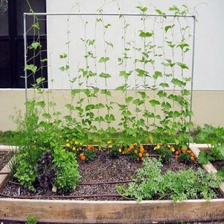 LƯỚI GIÀN LEO Thái Việt (viền biên, đóng khoen) - 2mx3m