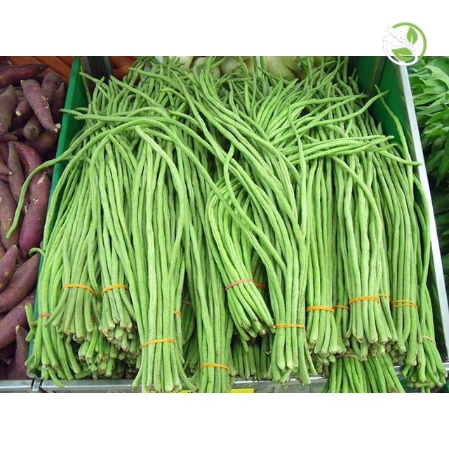 Hạt Giống Đậu Đũa Hạt Đen Phú Nông - Gói 10g - Yard Long Bean Black Seeds