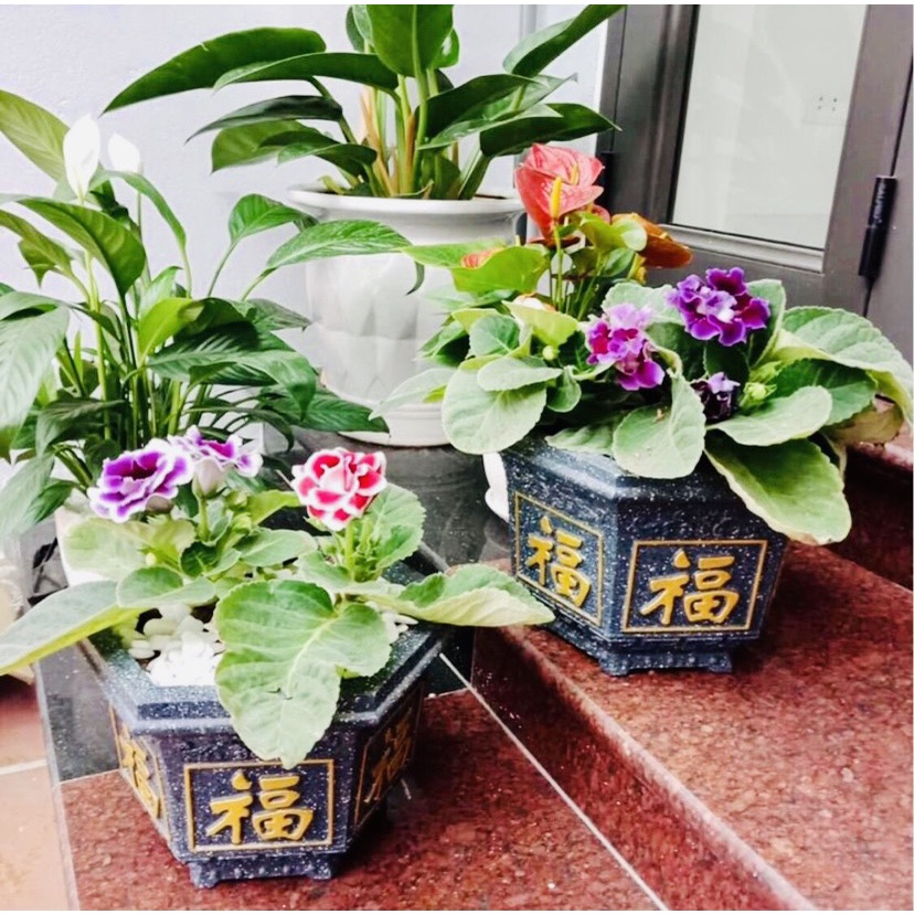 Khuôn đúc chậu cảnh lục giác 30 hoa hồng và chữ phúc kết hợp chân đôn, Phù hợp trồng hoa cây cảnh bonsai mới 100% abs